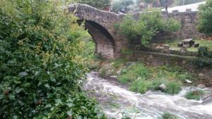 ImagenApartamentos La Eliza 3