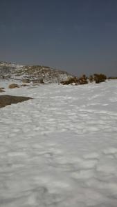 ImagenApartamentos La Eliza 5