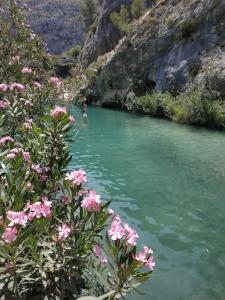 ImagenMagnifique maison entre mer et montagne 6