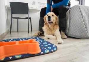 ImagenEl Villa Castejon 4