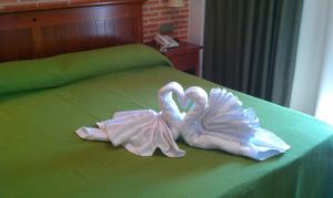 ImagenHotel Ecologico Toral 6