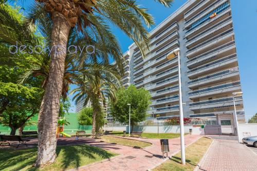 Imagendesolyplaya Colomeras 1