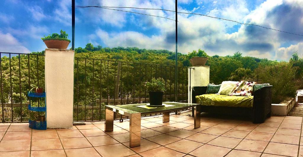 Jardín de Hadasimagen principal