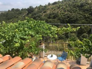 ImagenJardín de Hadas 5