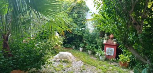 ImagenCasa con jardín frente Playa de Burriana 1