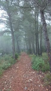 ImagenLA COVETA - Aptos. Vilapart 3