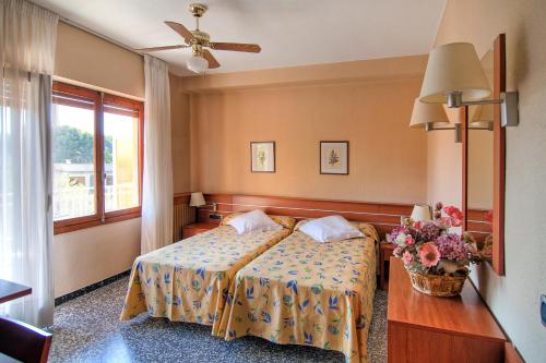 ImagenVista Alegre 2