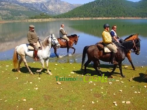 ImagenMONTE PIEDRA 1