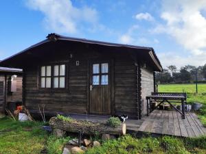 ImagenCAMPING A GRANDELLA 7