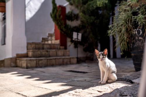 ImagenHacienda Minerva 1