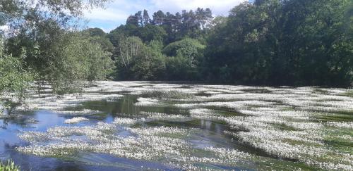 ImagenLa casa del tio Antonio 2