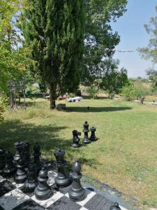 ImagenChilliman & Mas Miró Biofarm 4