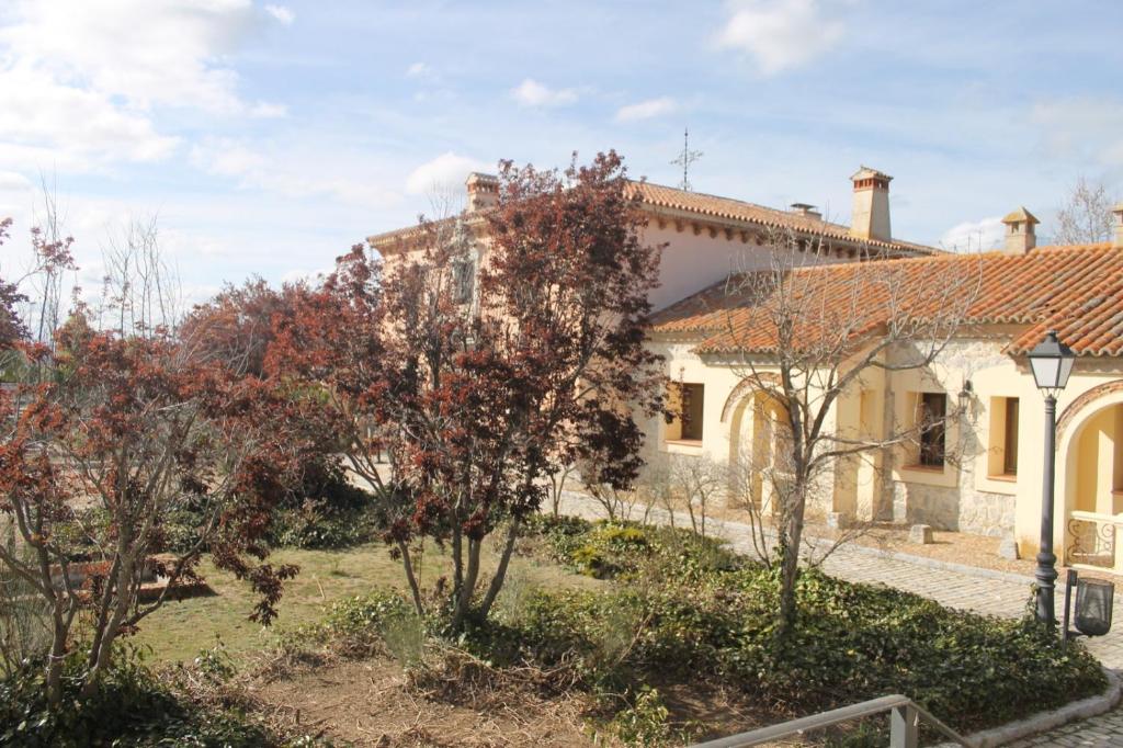 Vettoniaimagen principal