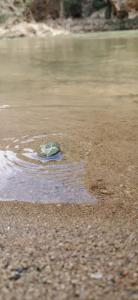 ImagenAlbergue Albarracín 8