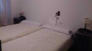 ImagenApartamentos Laurel 7