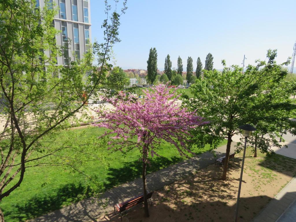 Pis a Vicimagen principal