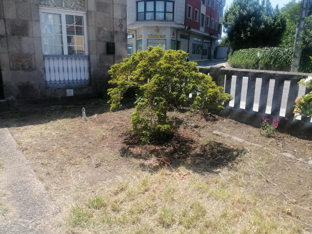 Alecerimagen principal