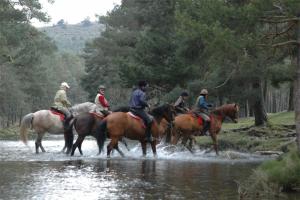 ImagenGranxa O Castelo 6