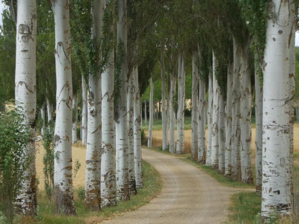 Finca Santa Eufemiaimagen principal