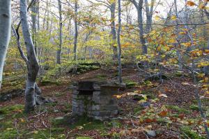 ImagenApartamentos La Dama Azul 6