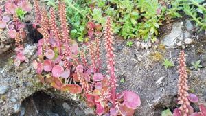 ImagenHotel Leyton 3