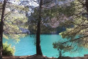 ImagenLAS PALOMAS APPARTEMENT 1 CHAMBRE AVEC PISCINE 3