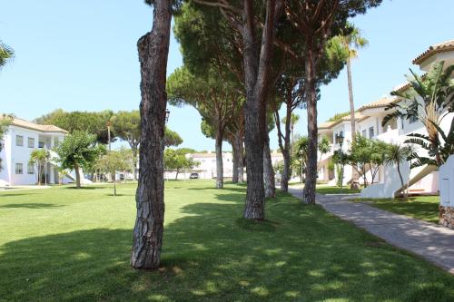 ImagenApartamento Columela Pinar en zona tranquila con WiFi 1