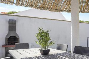 ImagenSpica 4