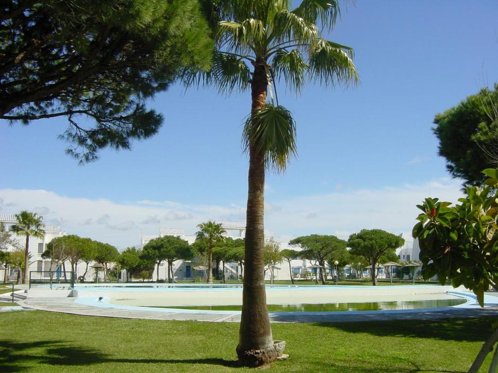 Apartamento Red de Almadraba - Aparteliusimagen principal