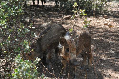 ImagenLos Nidos De Santa Maria 2