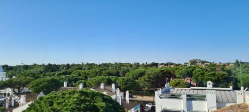ImagenAtico Vistahermosa Piscinas vista Bahía 2