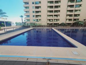 ImagenPatacona Green Holiday 3