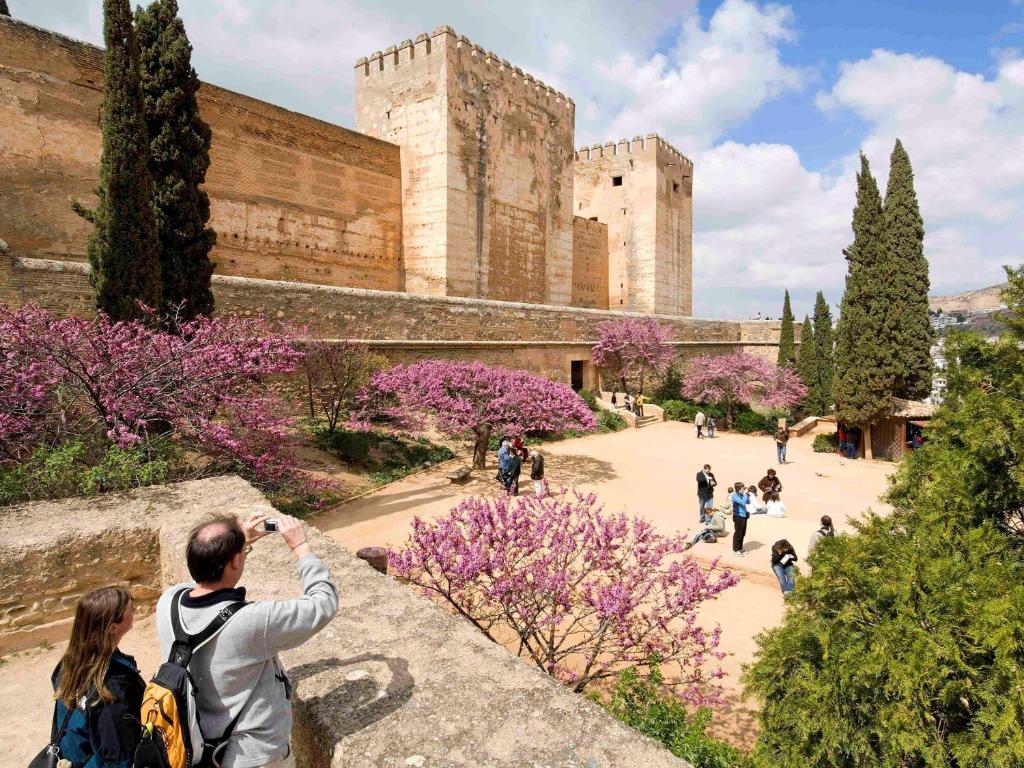 Ibis Granadaimagen principal