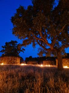 ImagenChozos Las Flores de la Dehesa 4
