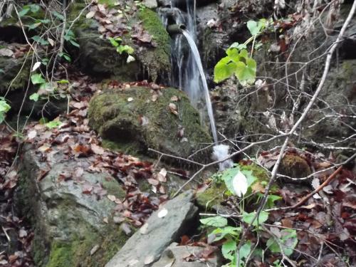 ImagenMontaña Palentina 2