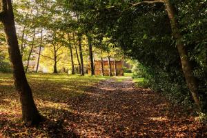 ImagenCasa Lourán 4