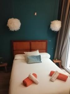 ImagenA&N Collector 3