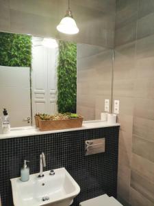 ImagenA&N Collector 7