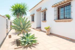 ImagenVilla Conilsur 6