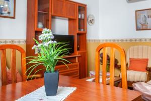 ImagenApartamento Rocio 3