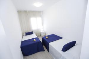 ImagenPineda 7 Planet Costa Dorada 6