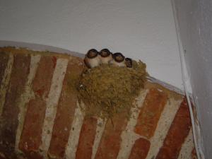 ImagenLas Navezuelas 6