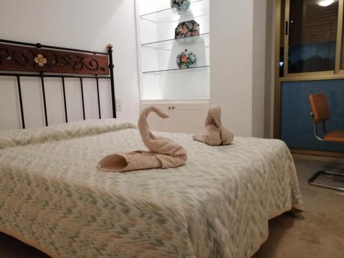 ImagenMagnifico Apartamento Zona Brillante 1