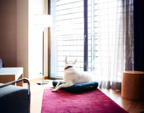 ImagenHotel Villa Emilia 2