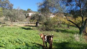 ImagenHotel La Era de Aracena - Adults Only 4