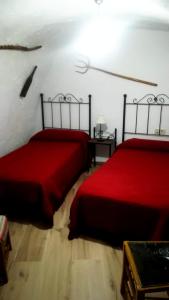 ImagenCueva El Murallon Benamaurel 9