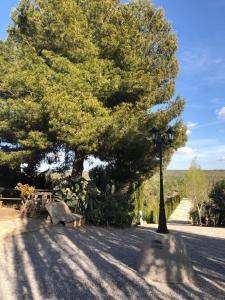 ImagenHoya de la virgen 3