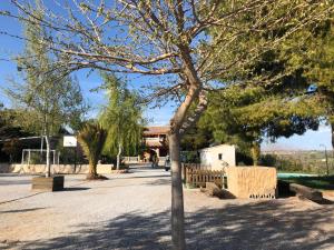 ImagenHoya de la virgen 7