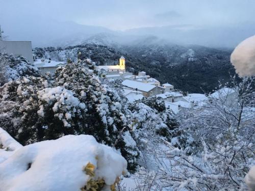 ImagenApartamentos Rurales Jardines del Visir 1