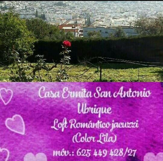 Loft jacuzzi lila Casa Ermita San Antonioimagen principal